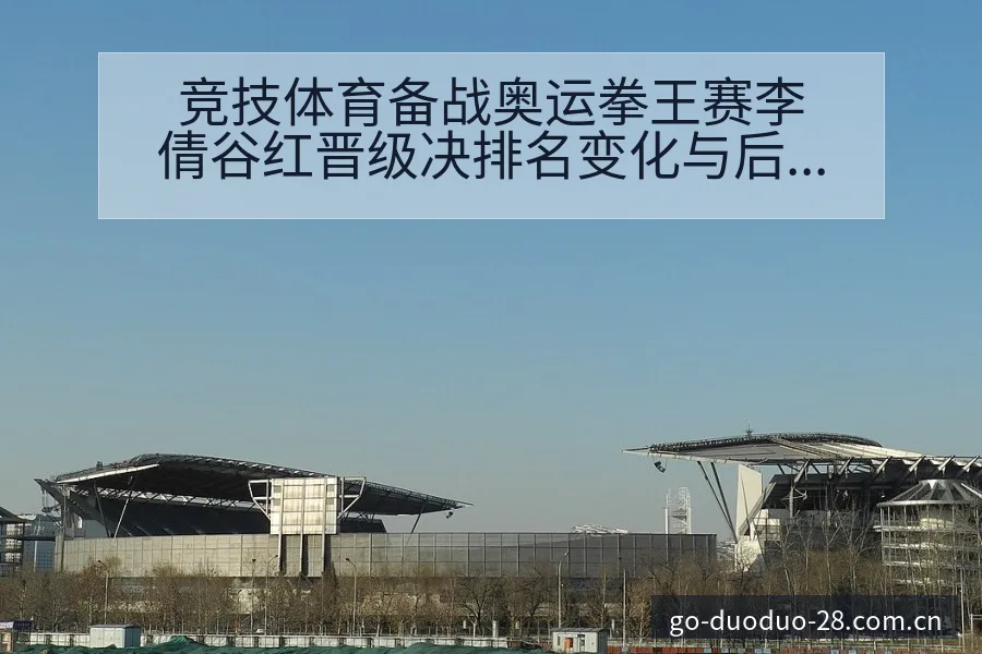 竞技体育备战奥运拳王赛李倩谷红晋级决排名变化与后续走势数 - 多多28