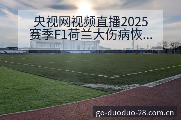 央视网视频直播2025赛季F1荷兰大伤病恢复对赛程影响签 - 多多28